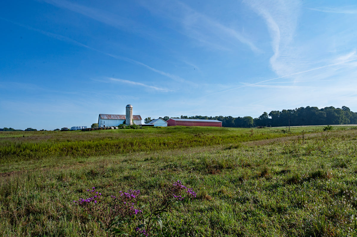 A scenic landscape photograph of a rural farm with a white barn, red silo, and red barn under a bright blue sky with wispy clouds, with green fields in the foreground.