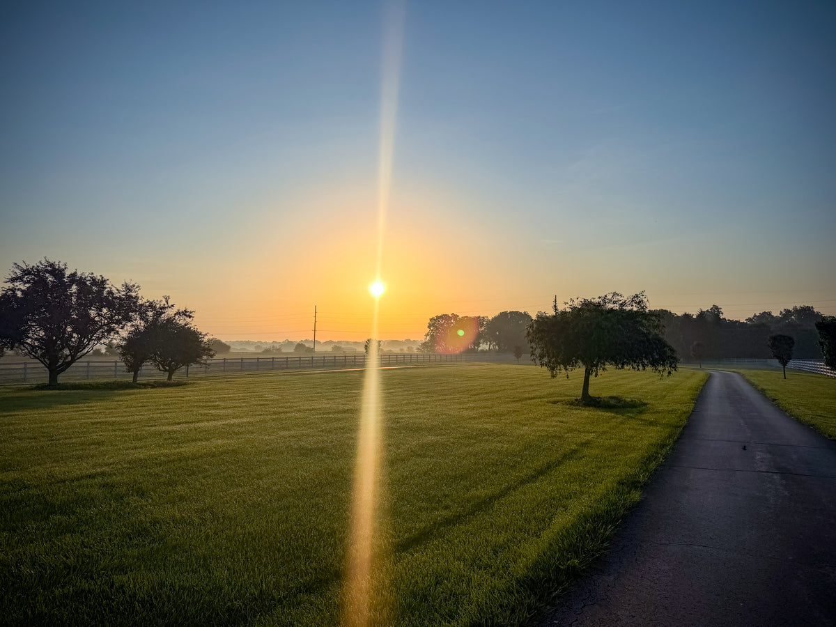 A sunset over a pasture in Yellow Springs, Ohio.